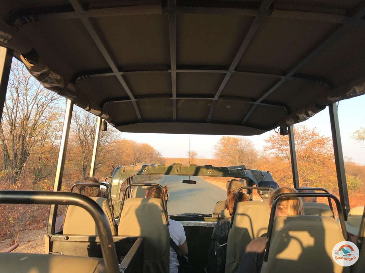 Kruger Park
